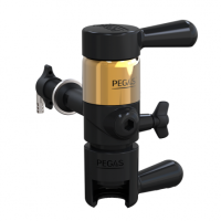PEGAS Evolution Gold в Севастополе